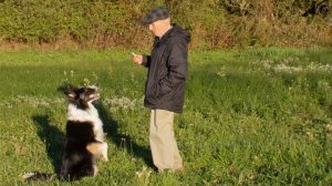 dave & colin training for christmas ad