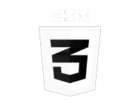 css3